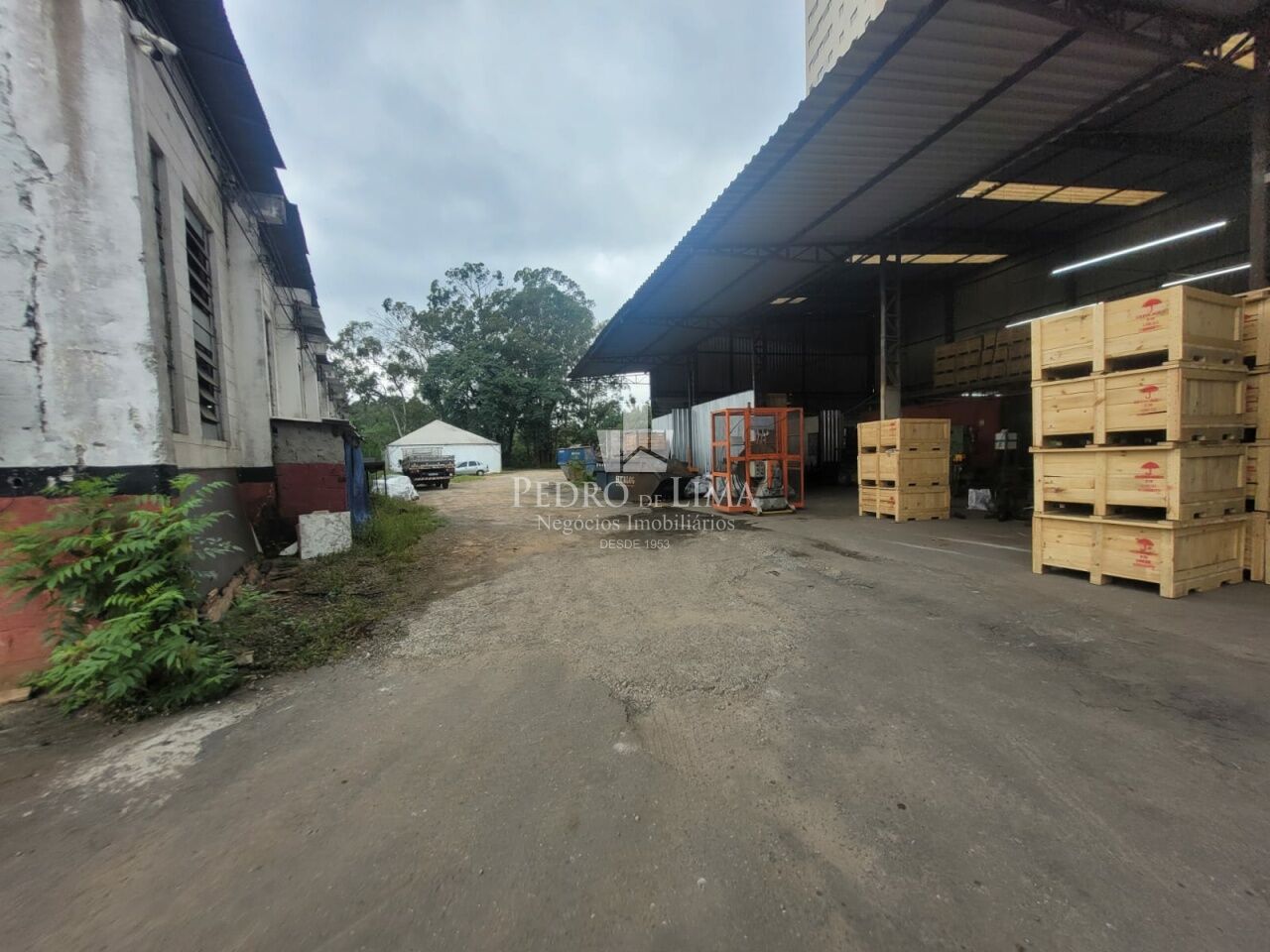 Galpão 3500 m² regiao do Jose Bonifacio 