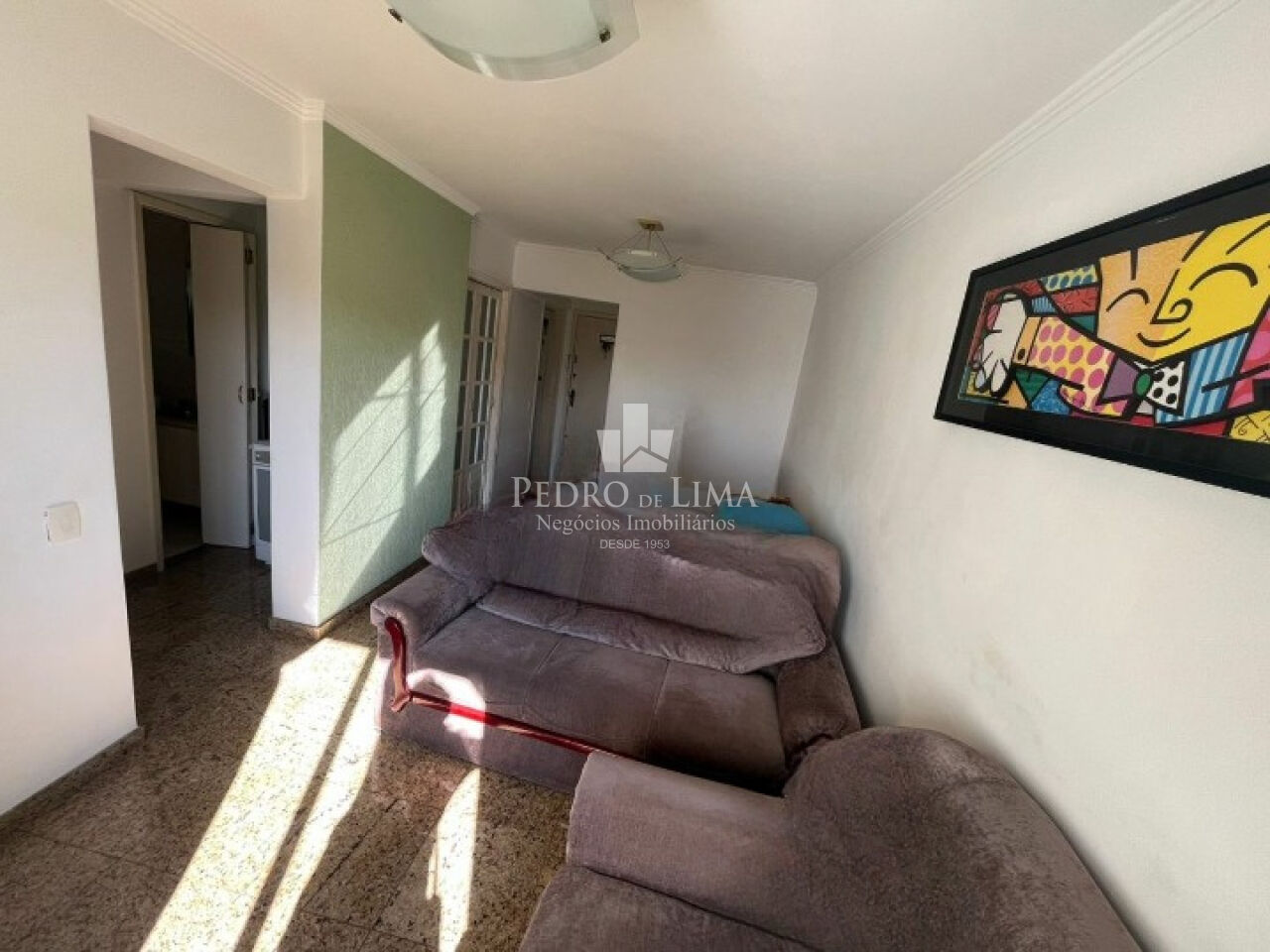 imagem do imovel Apartamento 3 Quartos, 1 suíte e 1 Vaga no Tatuapé ref: PE44945