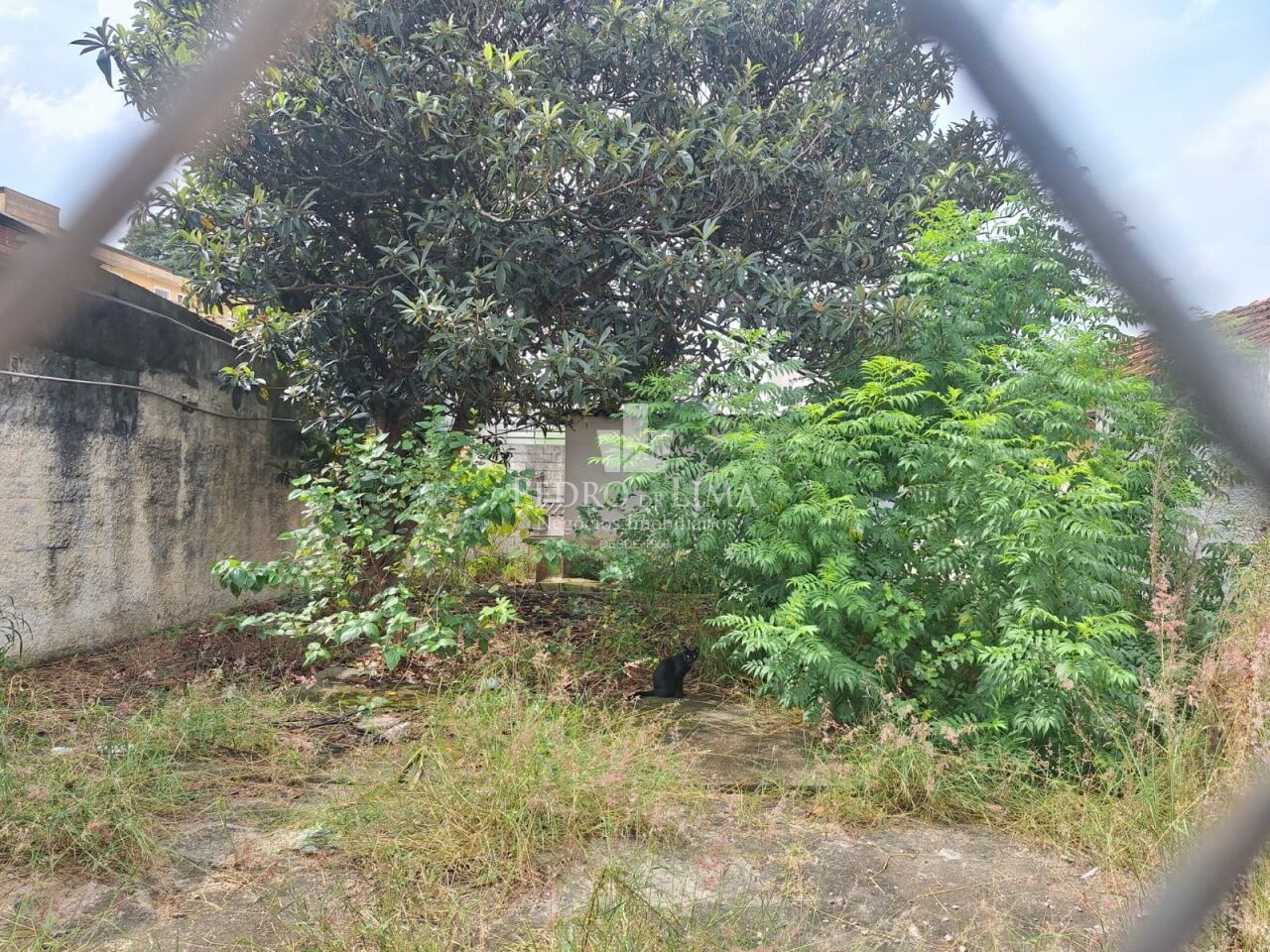 imagem do imovel Terreno na Vila Esperança, frente pra duas ruas - Penha ref: PE44971