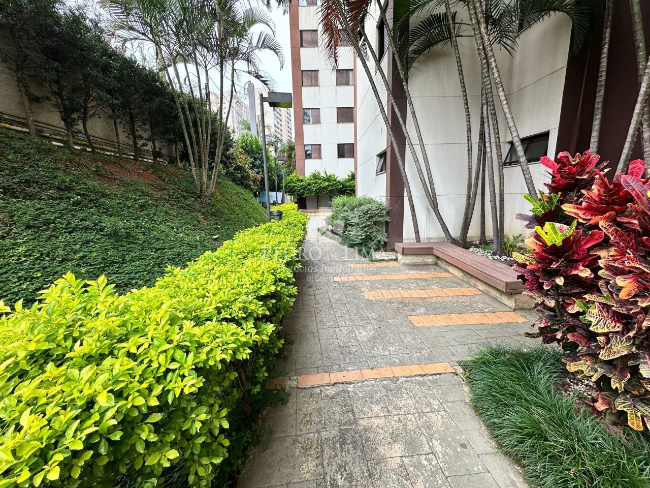 Apartamento 3 dormitórios, 1 vaga e sacada, Vila Araguaia - Cangaíba