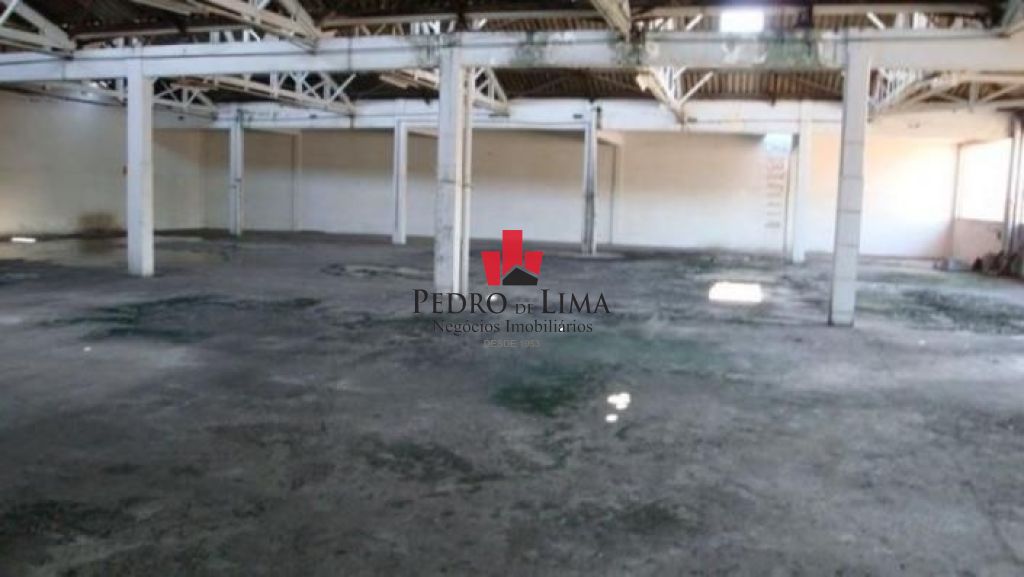 imagem do imovel Galpão 4 mil metros Belém. ref: TP11087