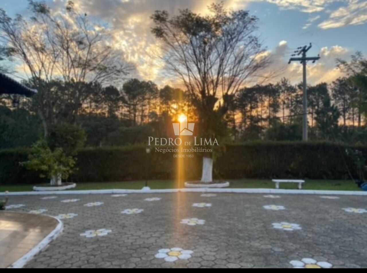 imagem do imovel Chácara de 6050m², com casa de 5 Dormitórios, piscina, em Santa Isabel - SP  ref: TP26682