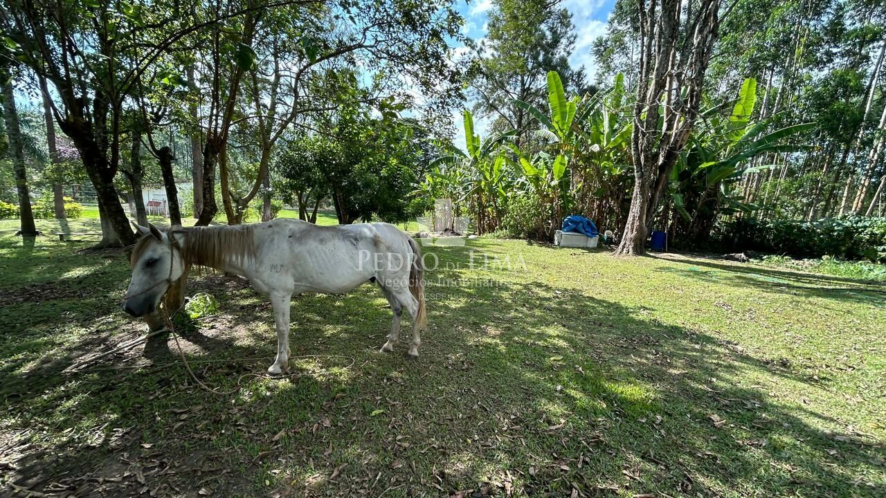 Chácara de 6050m², com casa de 5 Dormitórios, piscina, em Santa Isabel - SP 