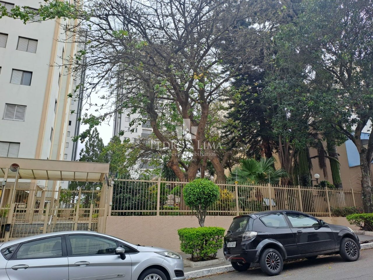 Apartamento para aqlugar com 3 dormitórios e 72 m²