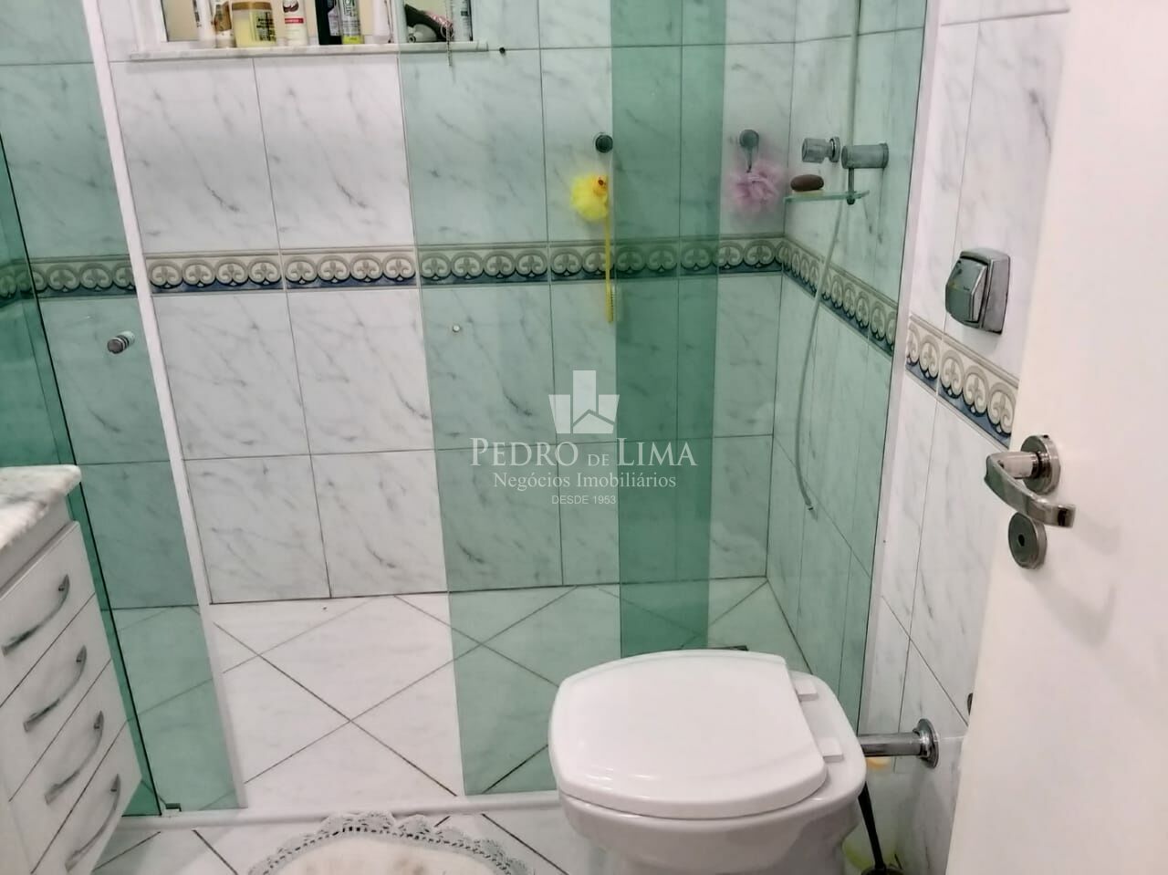 Casa térrea, com espaço gourmet no pavimento superior no Tatuapé