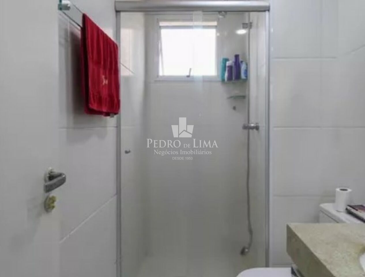 Apartamento 3 quartos, 2 vagas, varanda gourmet, Região da Vila Alpina