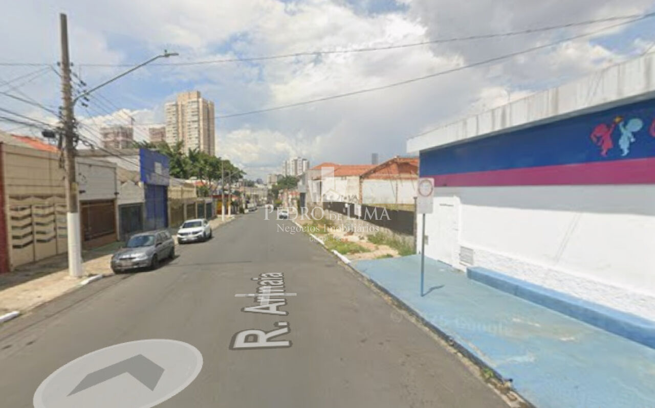 imagem do imovel Terreno de 1243m² todo plano no Belenzinho  ref: TP29533