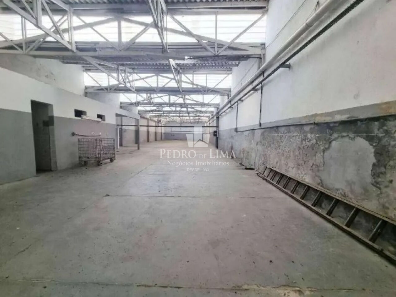 Galpão de 560 m² - Vila formosa