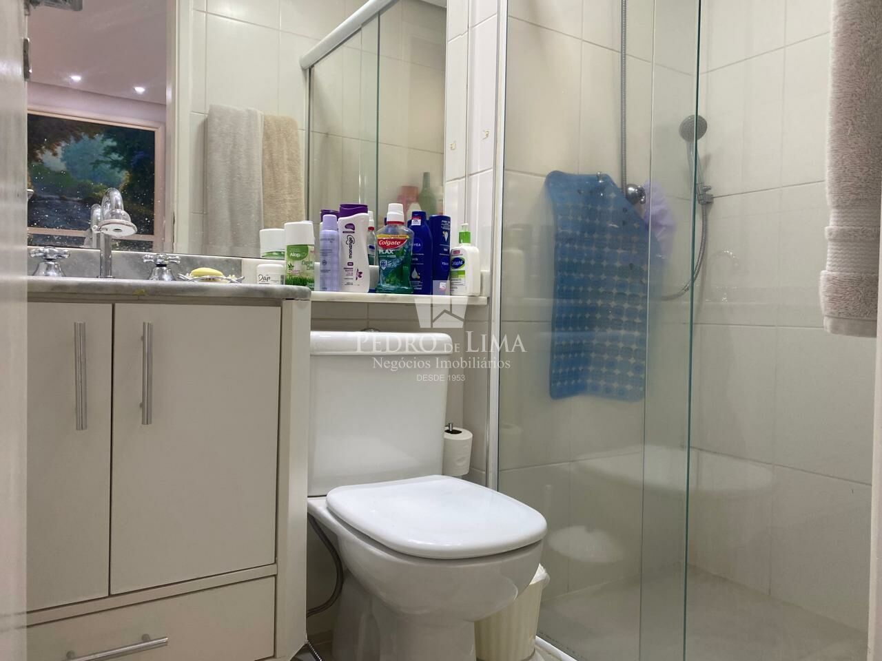 Apartamento Mooca 3 quartos 1 suite 1 vaga , em frente ao parque 