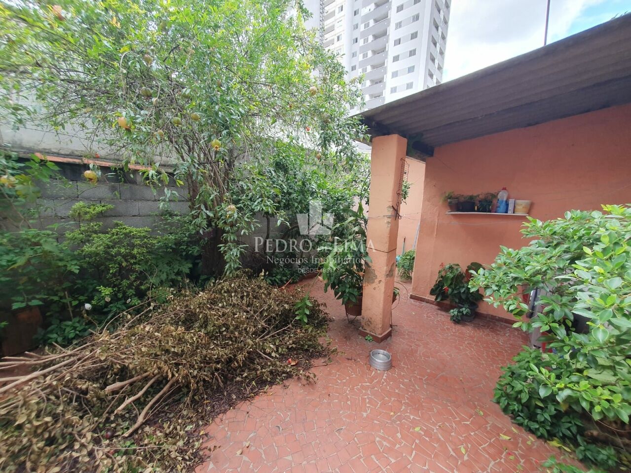 Terreno com casa térrea antiga no Tatuapé, Ideal para reformar ou construir.