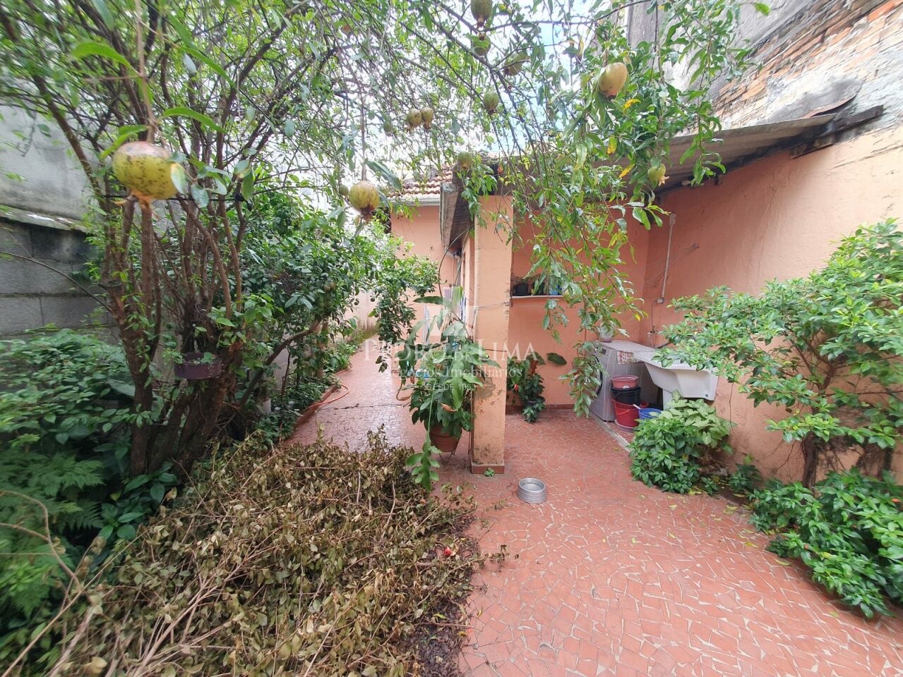 Terreno com casa térrea antiga no Tatuapé, Ideal para reformar ou construir.
