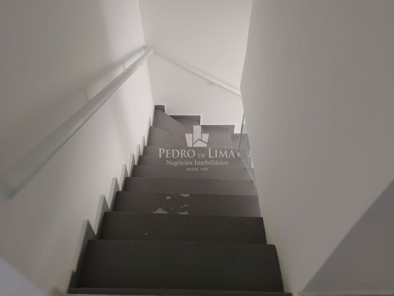 Sobrado Comercial ou Residencial  de 243m2, 3 Dormitórios, Piscina, na Vila Formosa