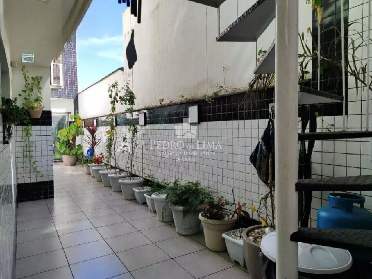 Sobrado com 4 quartos, 250 m² , 2 vagas , Belenzinho