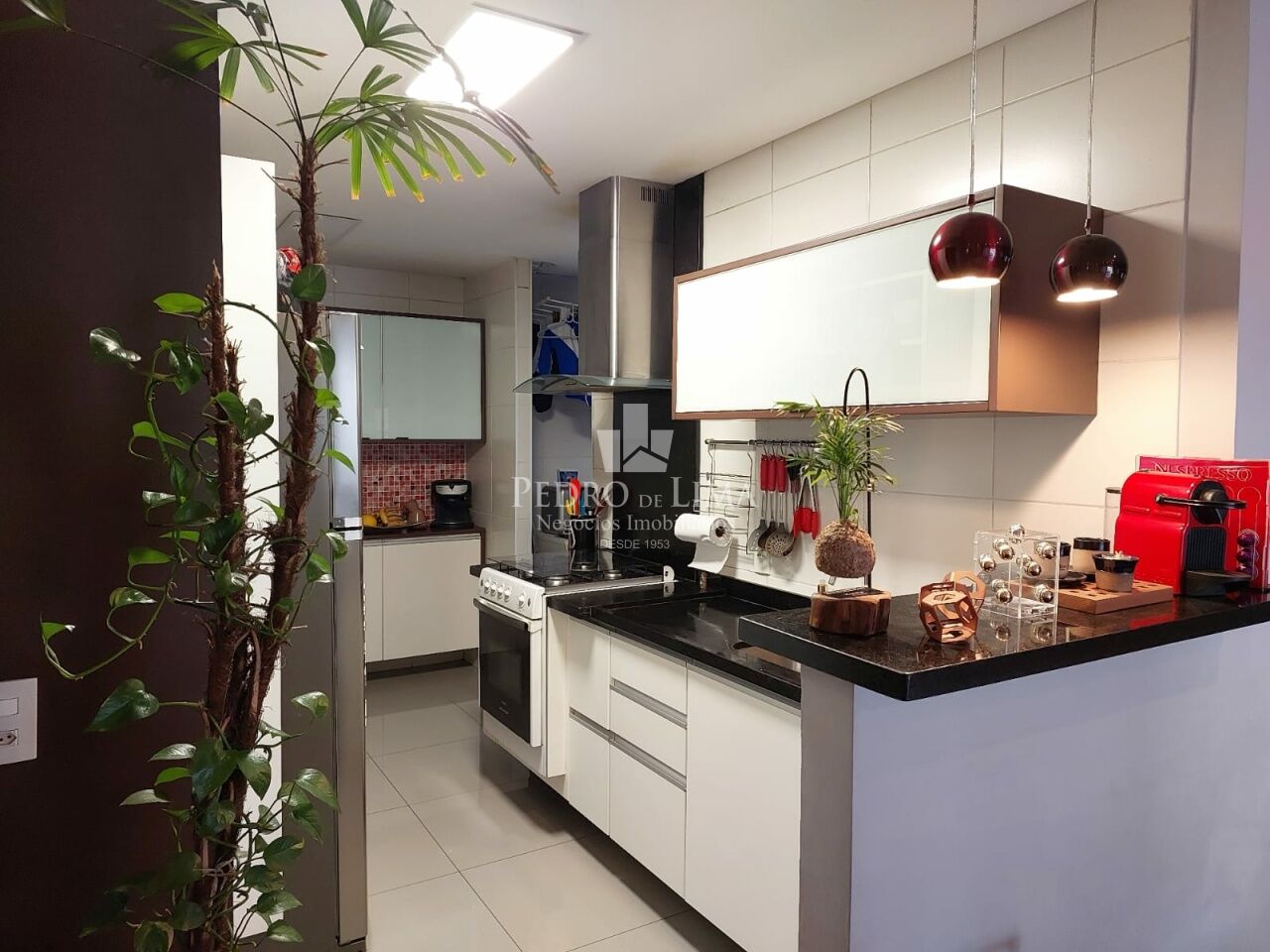 Apartamento 3 quartos, 2 vagas, Anália Franco