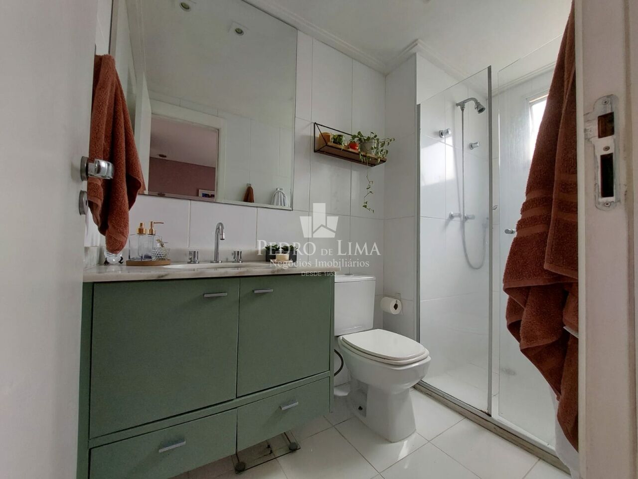 Apartamento 3 quartos, 2 vagas, Anália Franco