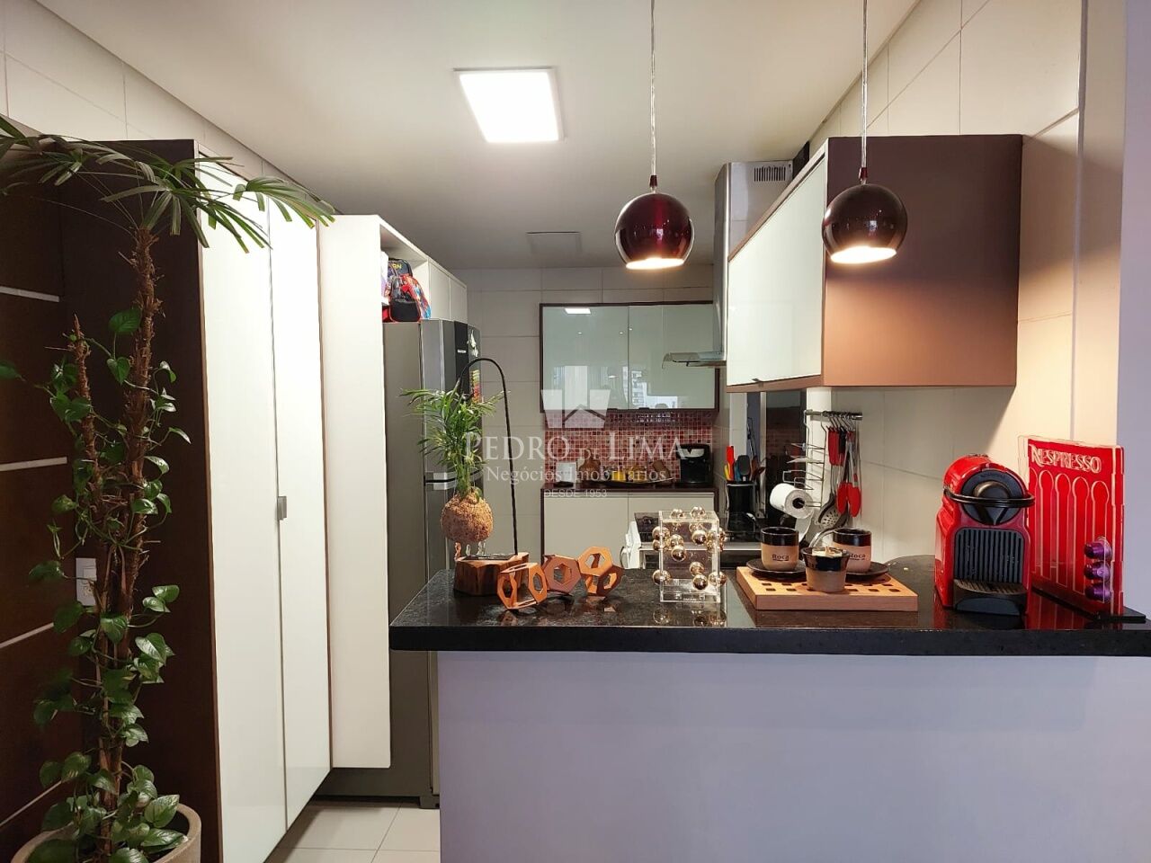 Apartamento 3 quartos, 2 vagas, Anália Franco