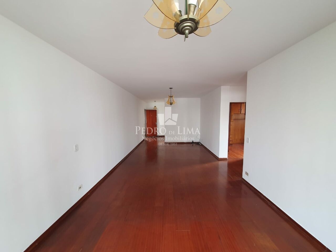 Apartamento, 2 dormitórios região Anália Franco
