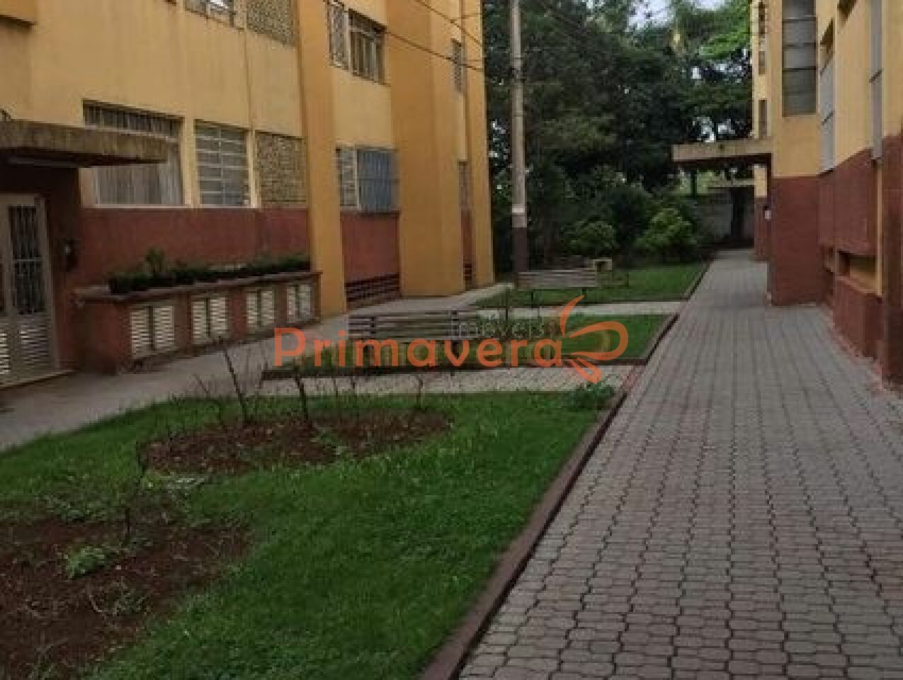 Apartamento para Venda - Lapa de Baixo