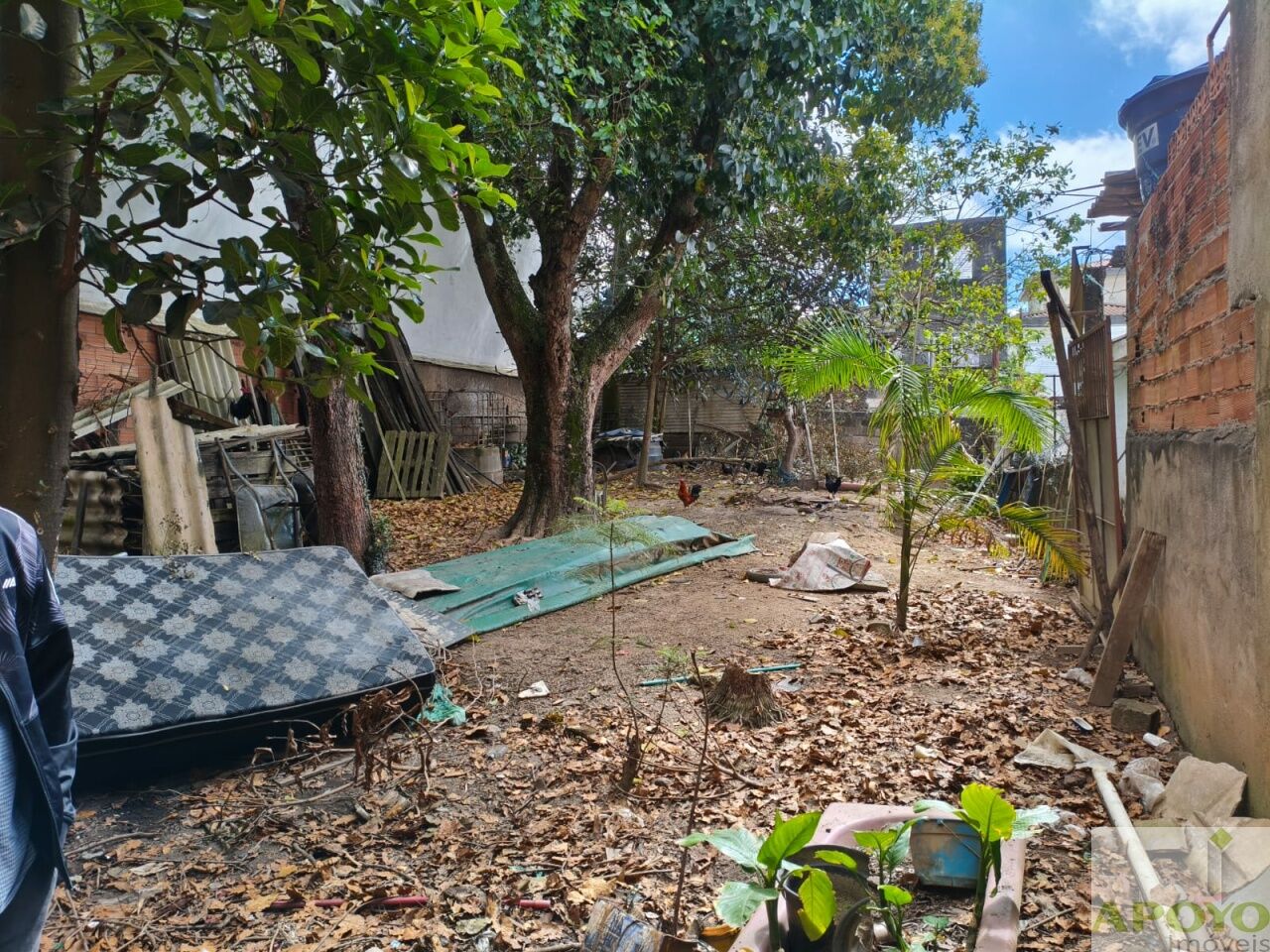 Terreno, 255 m² - Foto 4