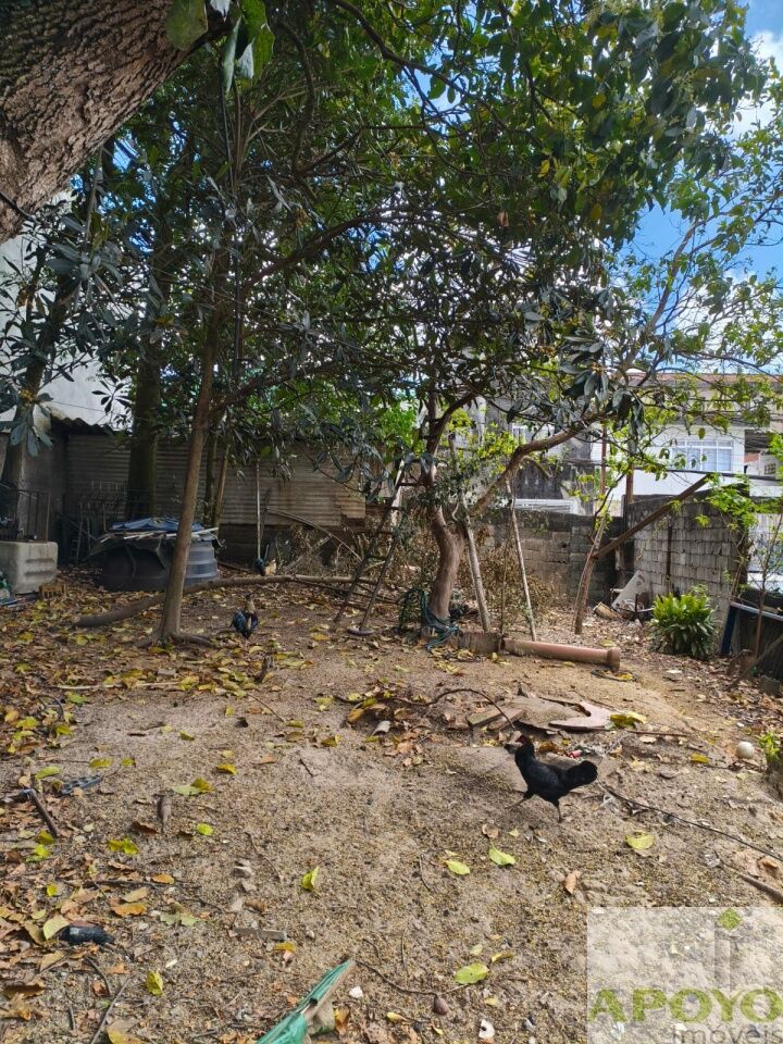 Terreno, 255 m² - Foto 5