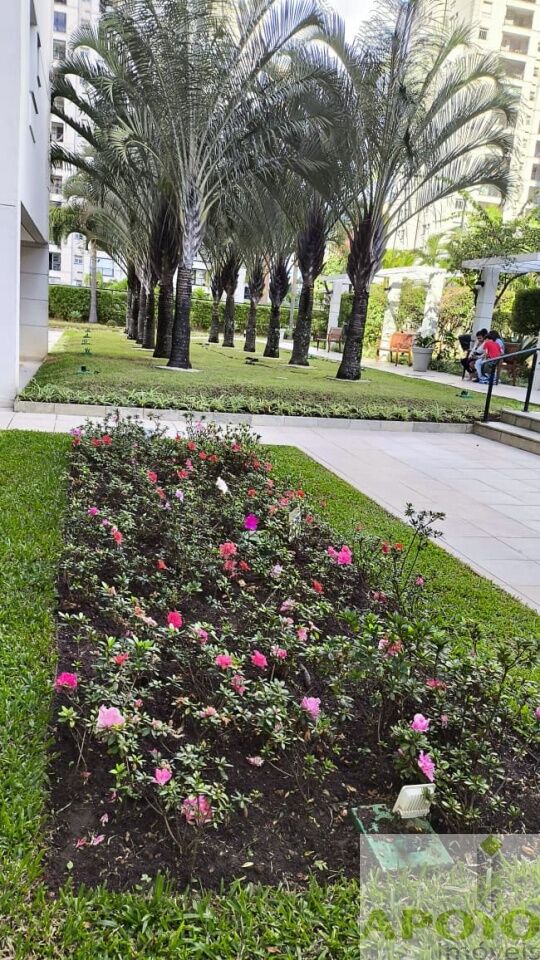 Apartamento, 3 quartos, 68 m² - Foto 33