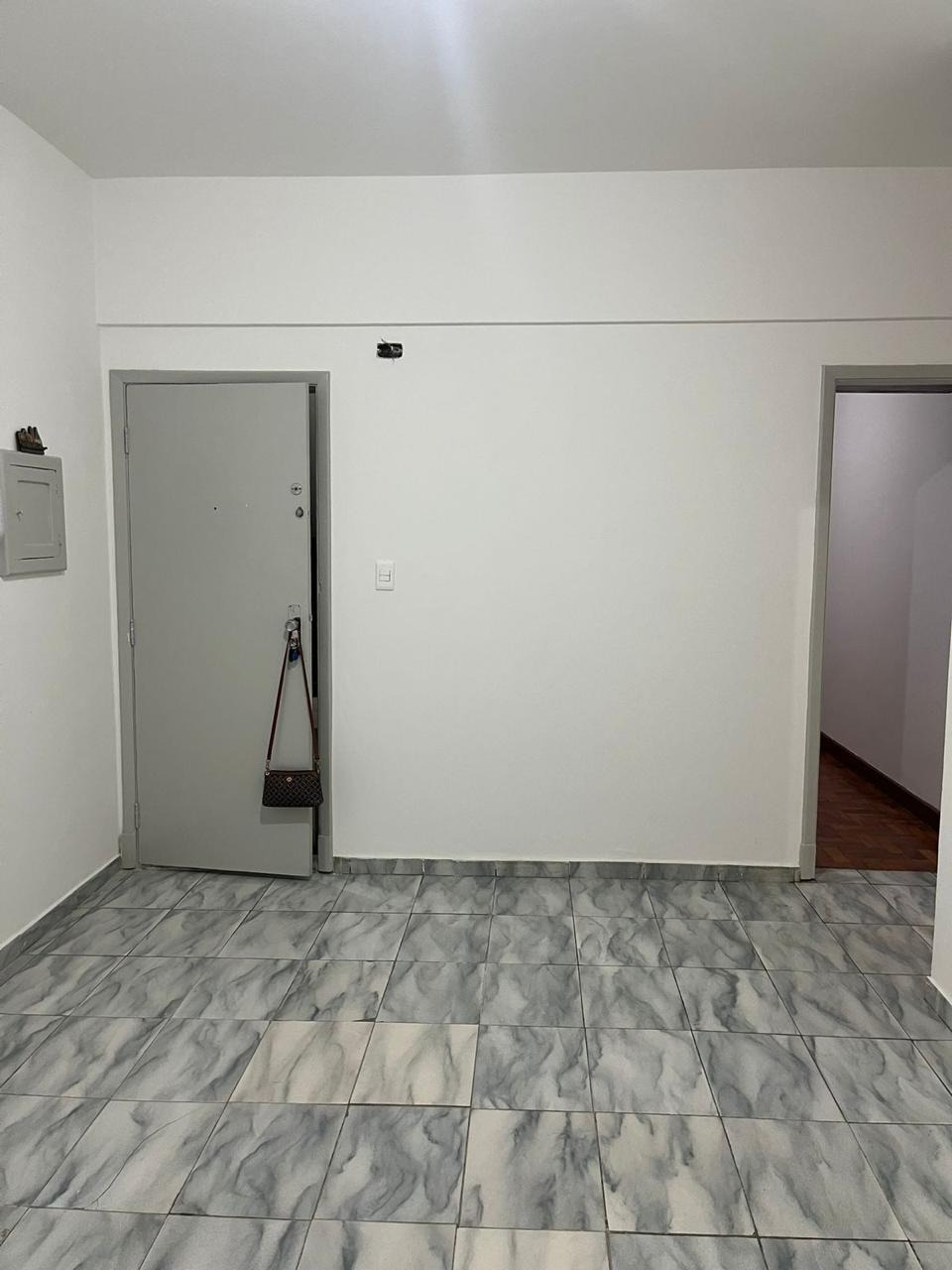 Apartamento para Venda - Cambuci