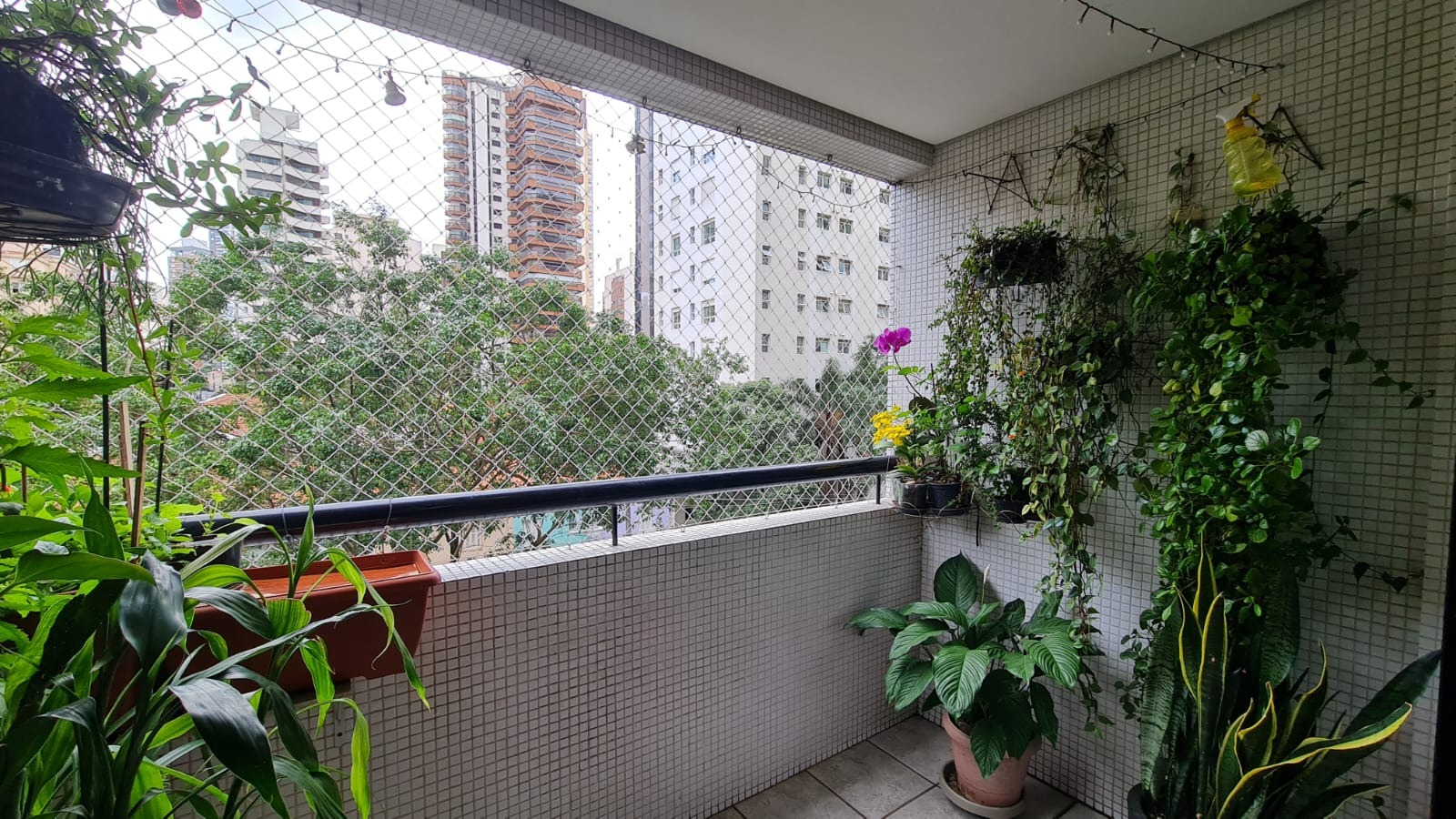 Apartamento para Venda - Aclimação