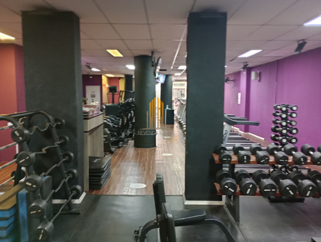 Galpão para Venda - Santa Cecília