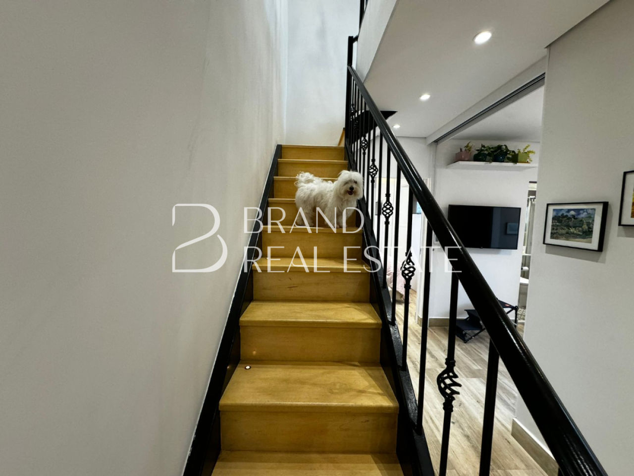 Foto 32 - BR3413