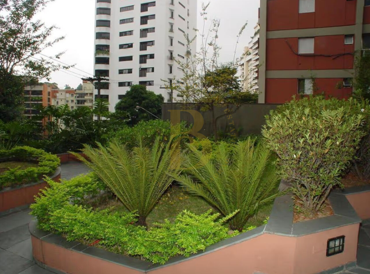 Foto 20 - BR4249