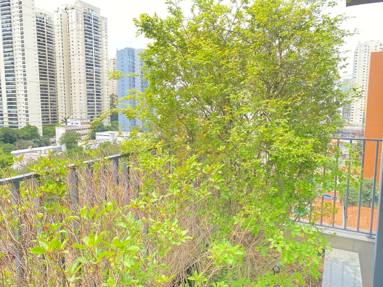 Foto 10 - BR439