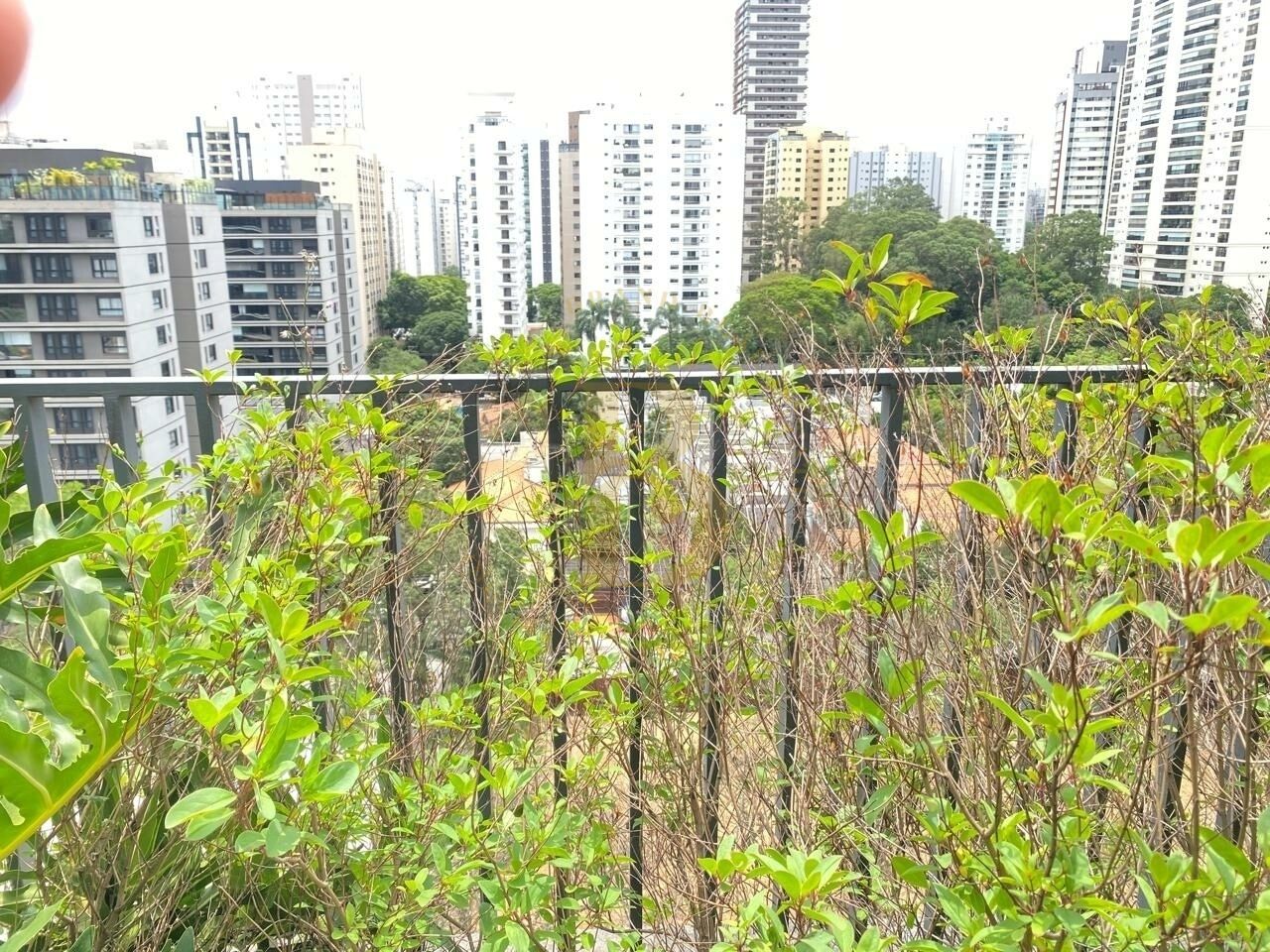 Foto 9 - BR439