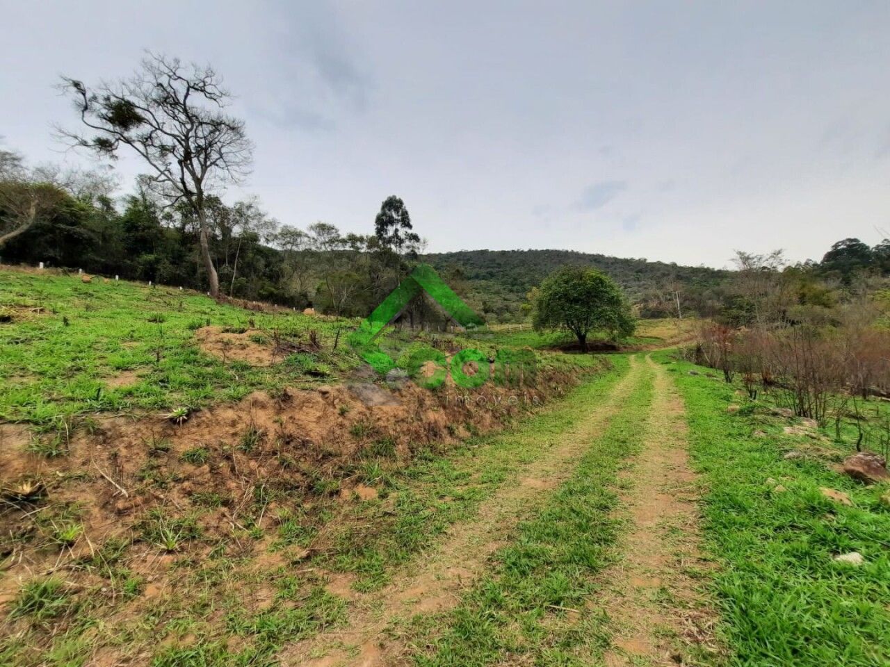 Sítios para Venda - REGIÃO INDISPONÍVEL