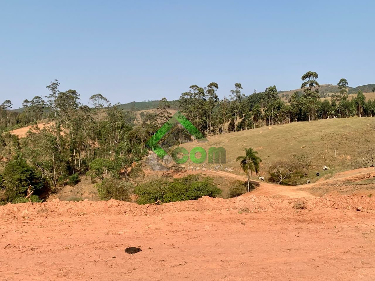 Sítios para Venda - Bairro dos Mimis