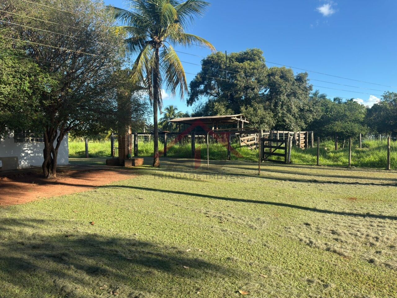 Chacara para Venda - Águas Claras -Santa fé do Sul
