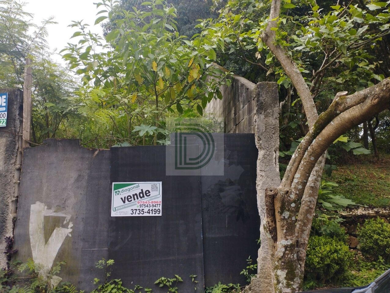 Foto Princiapl ref DI34522