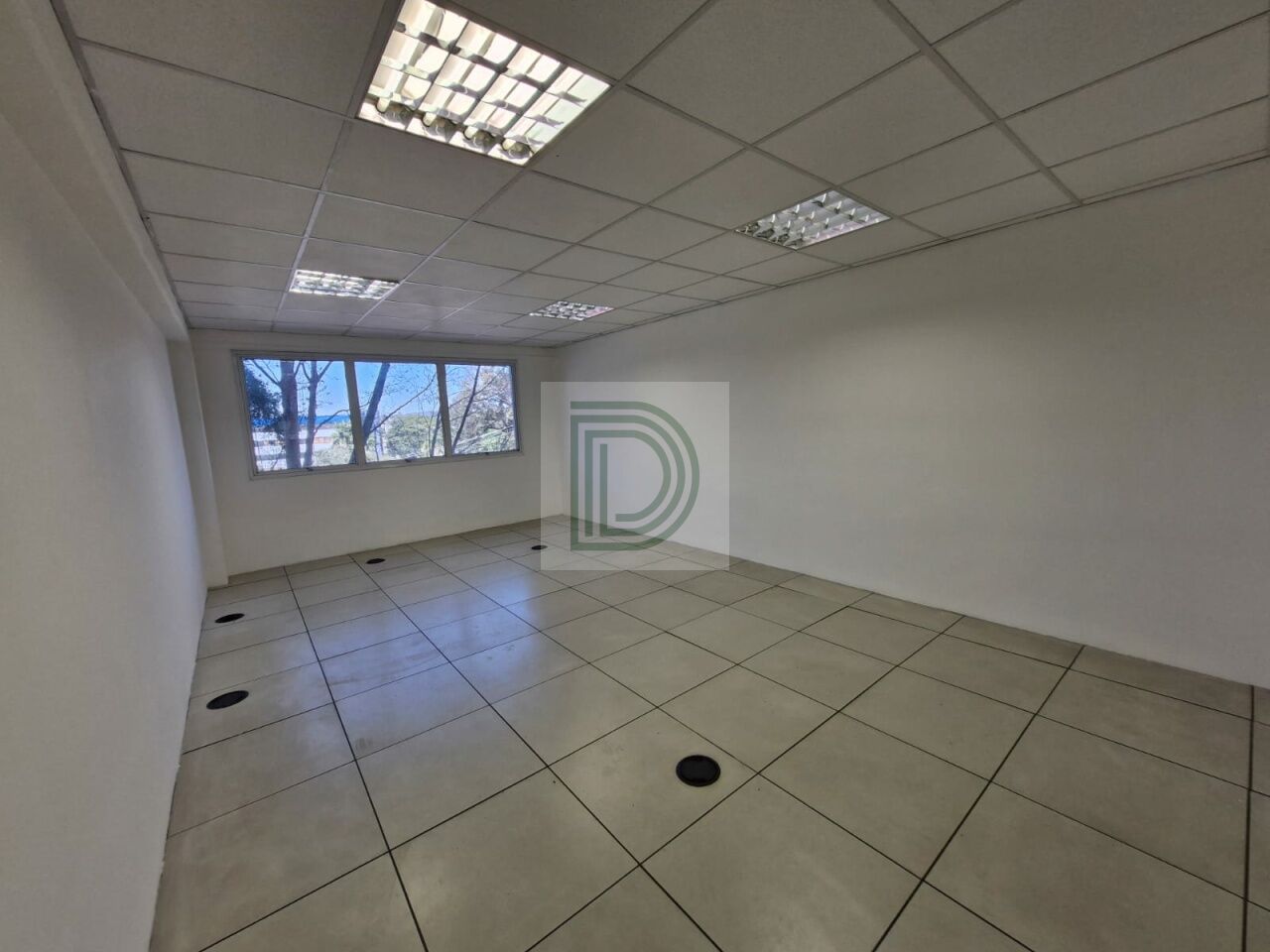 Foto Princiapl ref DI34754