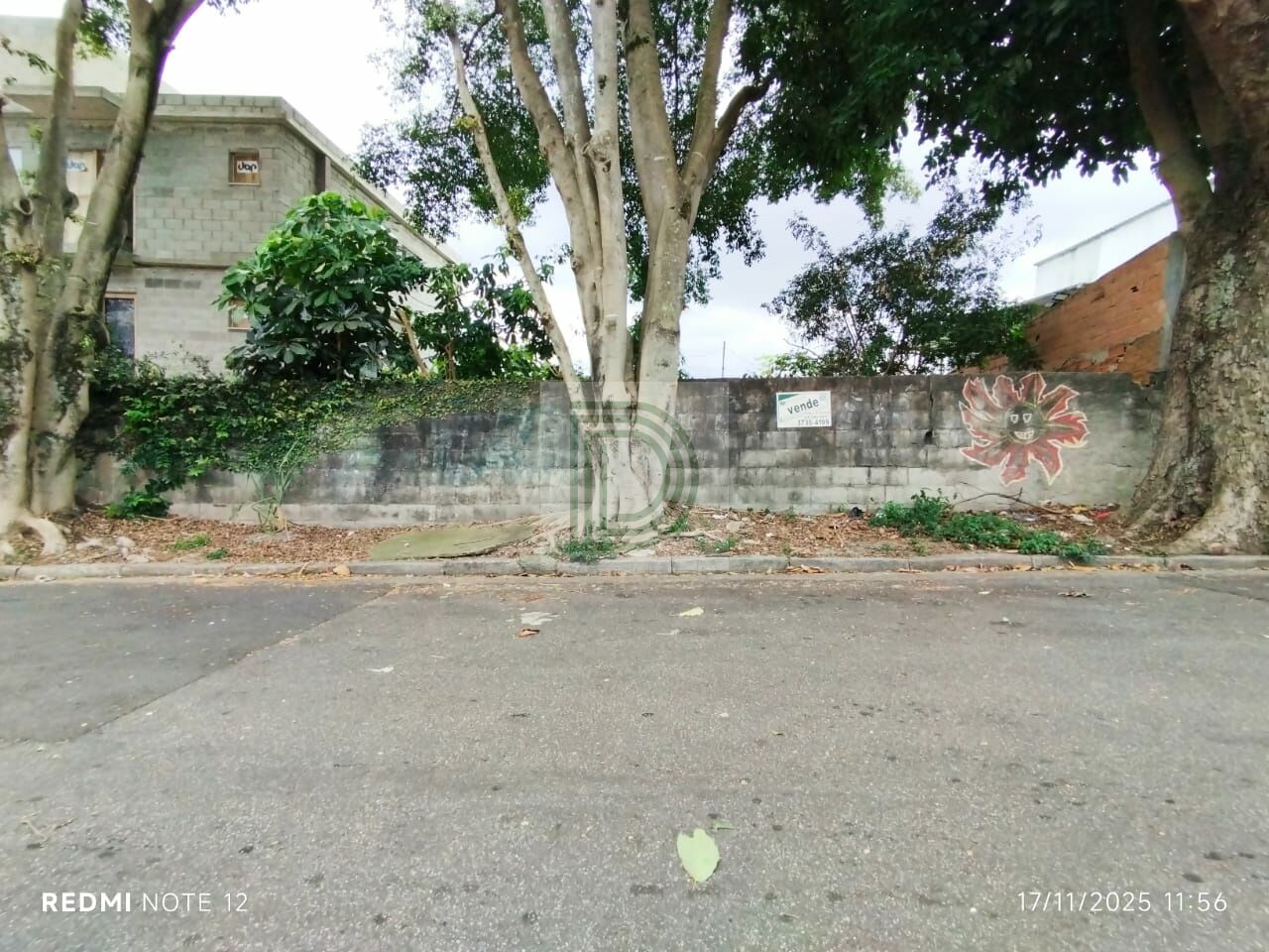 Foto Princiapl ref DI34825