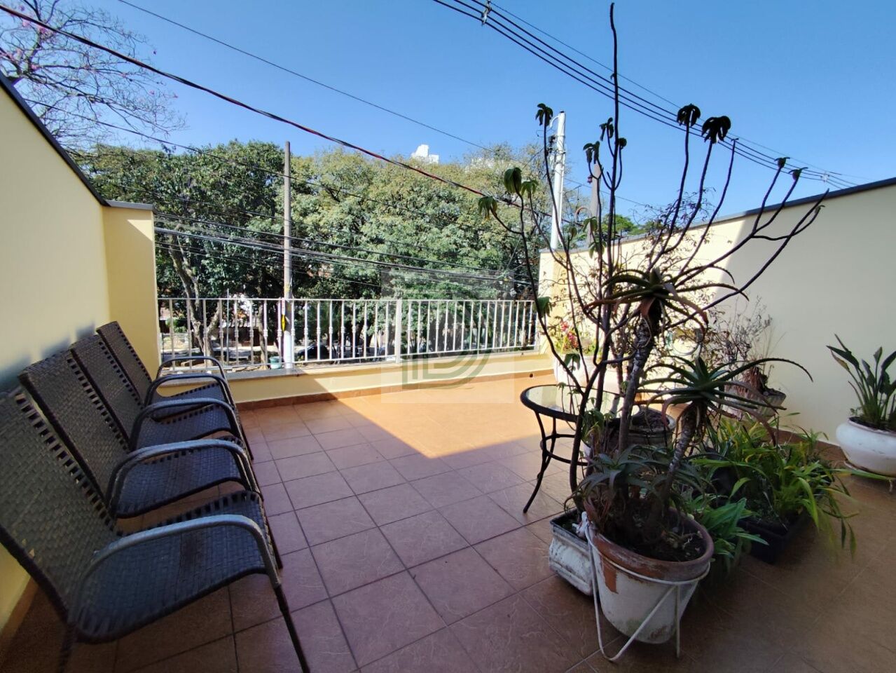 Foto Princiapl ref DI35021