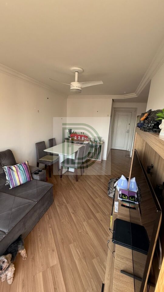 Foto Princiapl ref DI35183