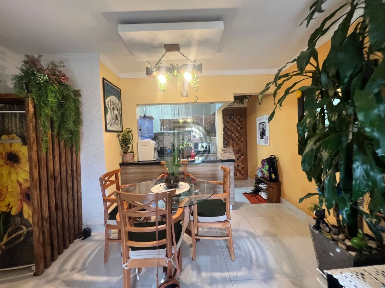 Foto Principal DI35184