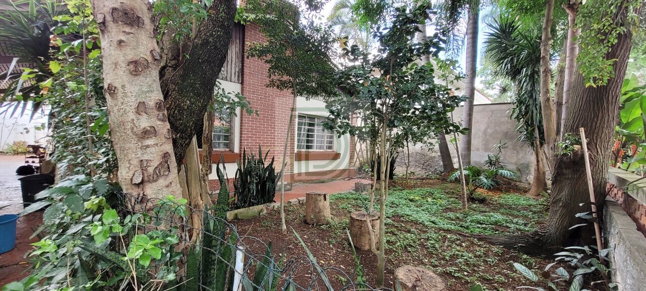 Foto Princiapl ref DI35291