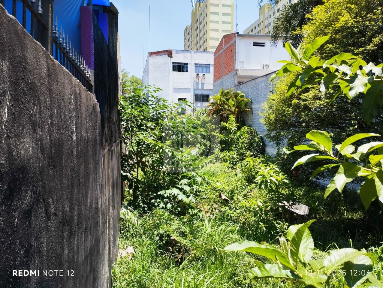 Foto Princiapl ref DI7722