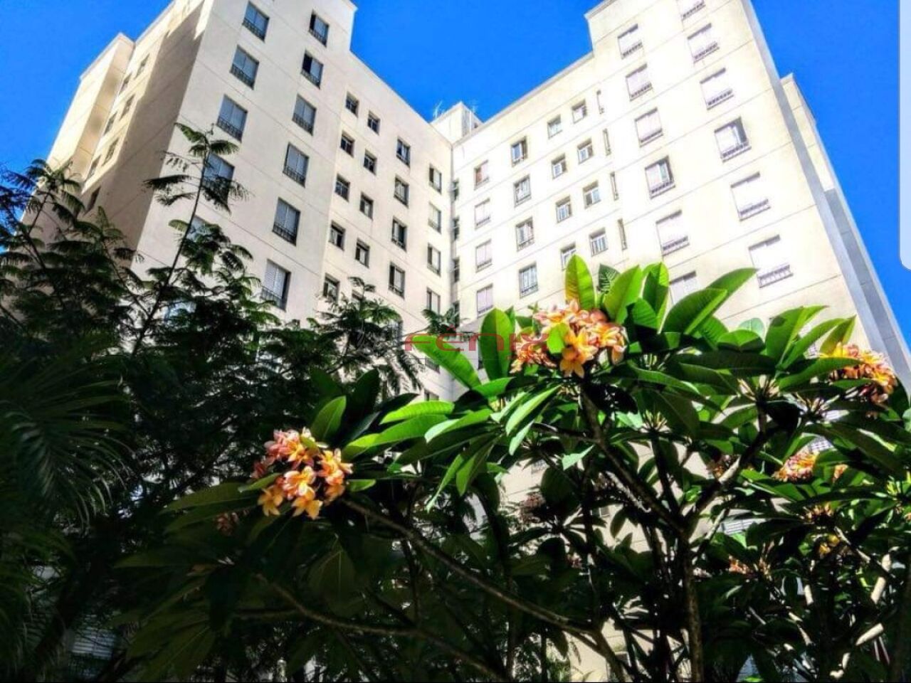 Apartamento para Venda - Luz