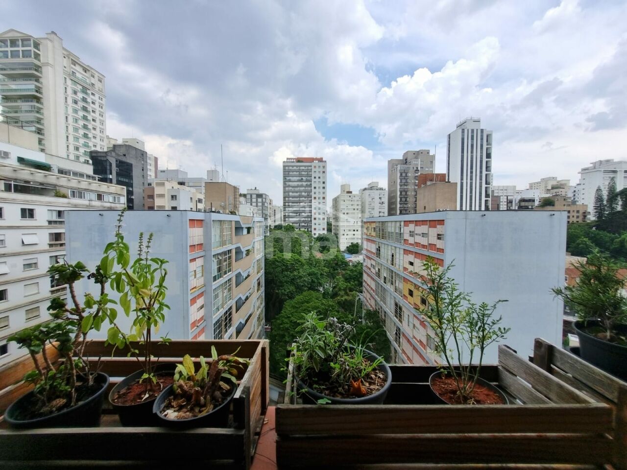 Apartamento para Venda - Higienópolis