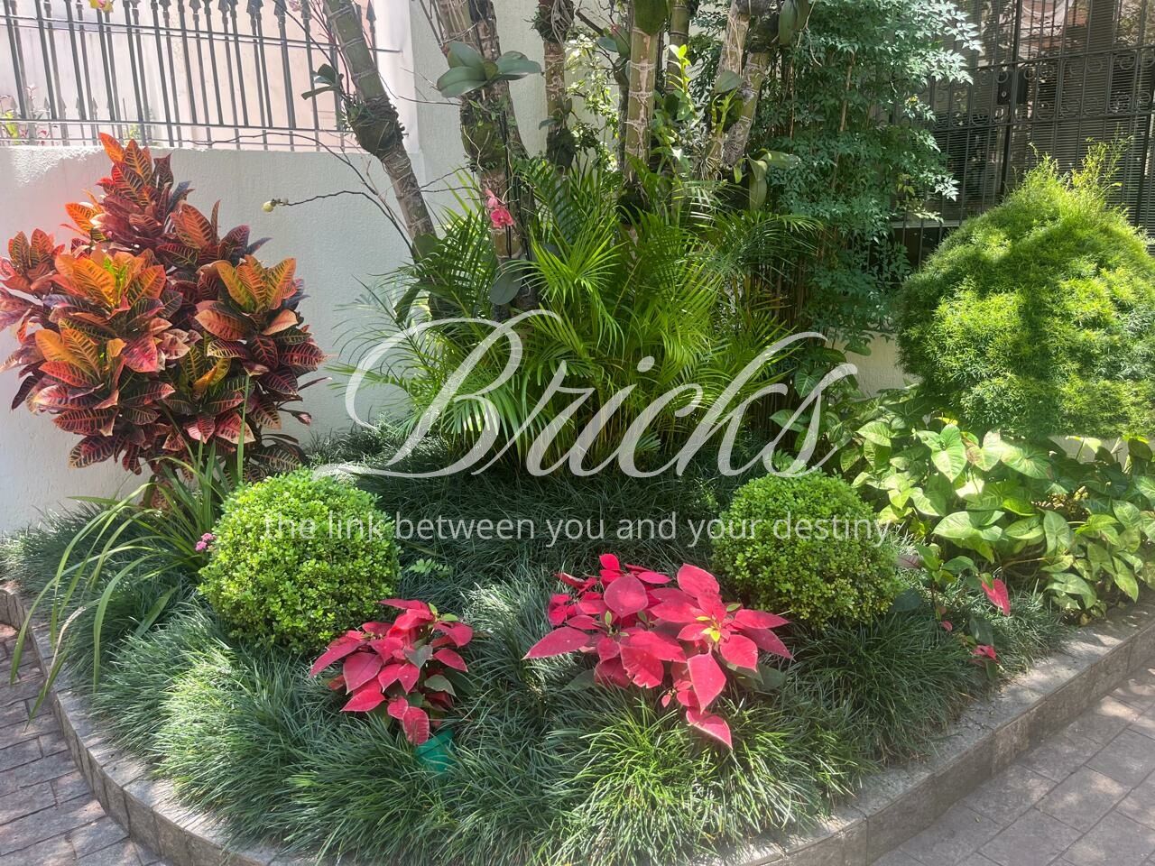 Sobrado para Venda - Vila Mariana