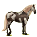 Rijpaard Andalusiër Gestippeld grijs