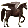 Rijpaard-pegasus Arabier Lever kastanje
