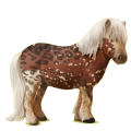 Pony Shetlander Wildkleur