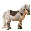 Pony Shetlander Zweetvos lever kastanje 